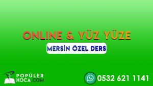 mersin ozel ders